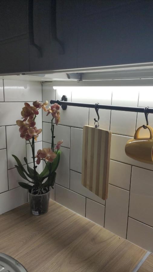 Potal Apartment Kremenchuk Bagian luar foto