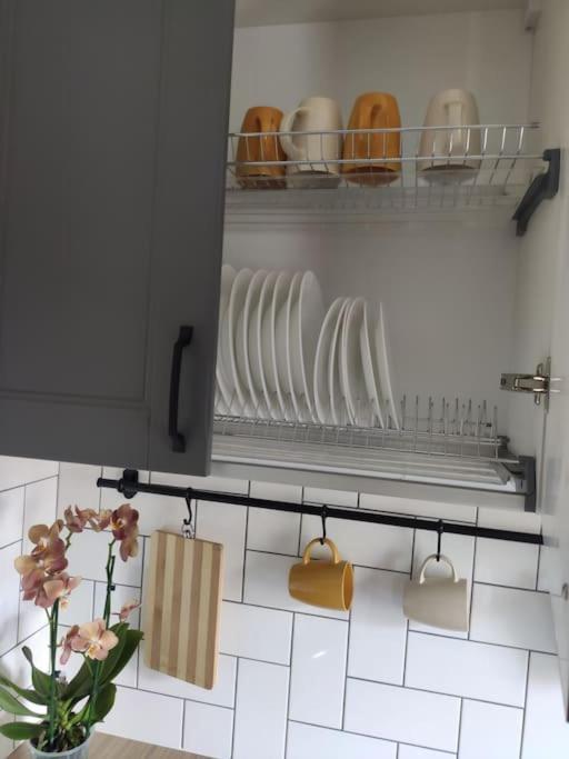 Potal Apartment Kremenchuk Bagian luar foto